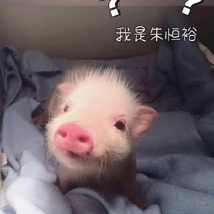 我是朱恒裕